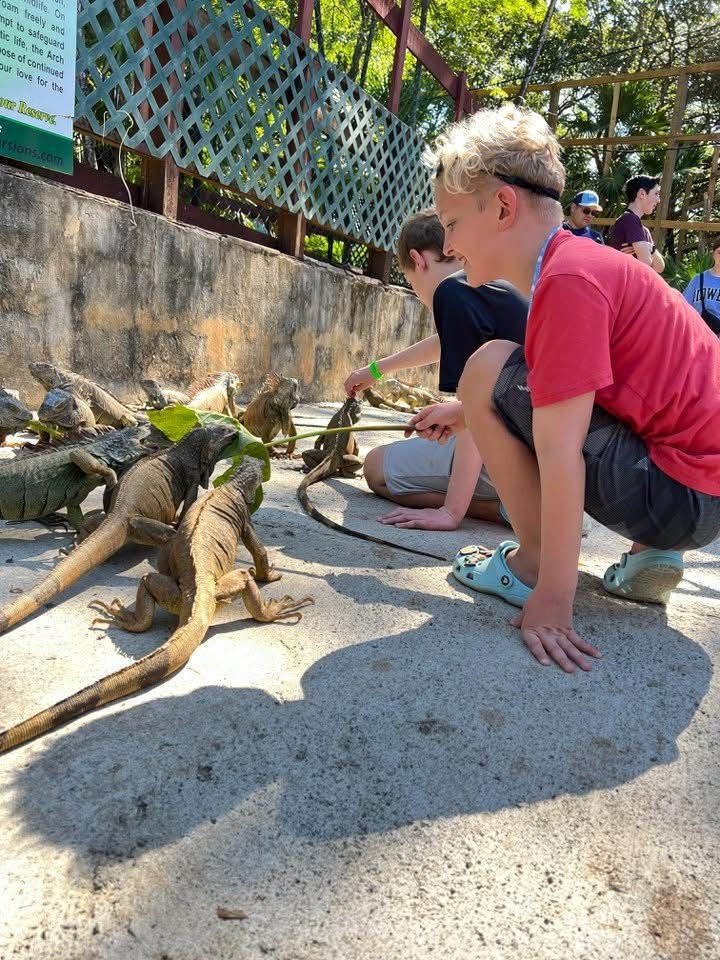 City Tour & Iguana Park